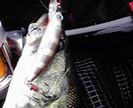 2009071610090000.jpg