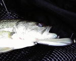 2009092210540000.jpg