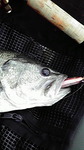 201004090851000041.jpg