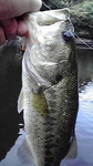 2010911-mjm37.jpg