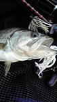 2009120507230000.jpg