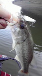 2010090407530000.jpg