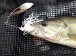 2012-10-14 002.jpg