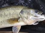 2012-425 004.jpg