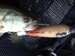 2012-8-11 001.jpg