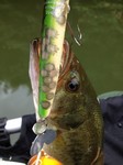 2012-8-11 003.jpg