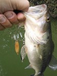 2013-3-17 003.jpg