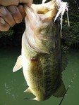 2013-3-24 002.jpg