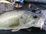 2013-4-14 004.jpg