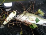 2013-6-16 001.jpg