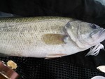2013-6-30 001.jpg