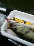 IMG_20150516_063644.jpg