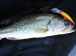 NCM_0548.jpg