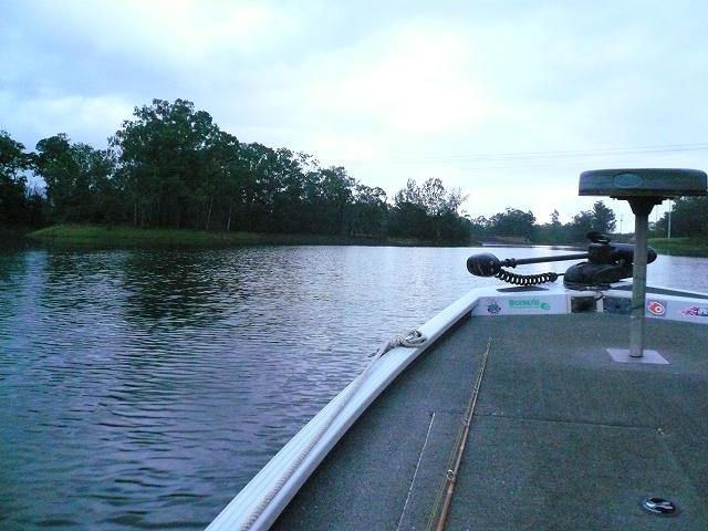 P1000900.jpg